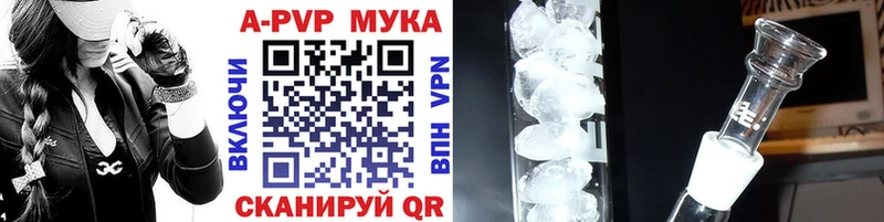 Alfa_PVP СК  Каргополь 