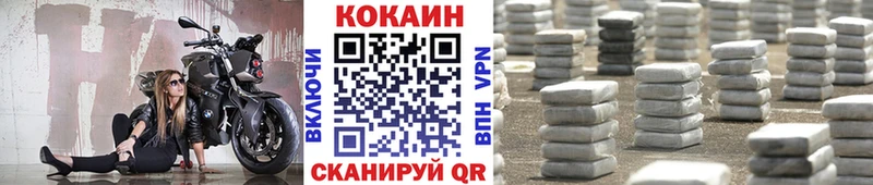 где продают   Каргополь  Кокаин 98% 