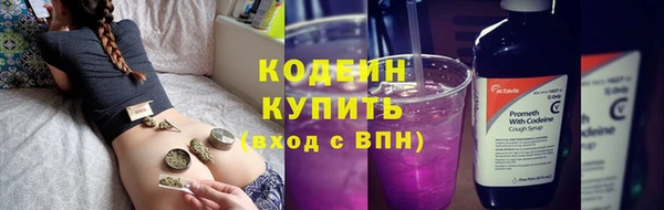 стафф Корсаков