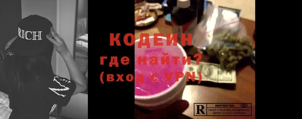 индика Кодинск