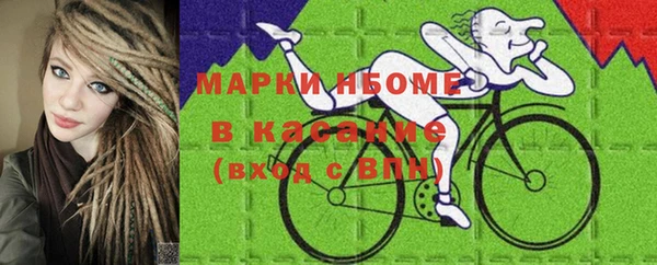 индика Кодинск