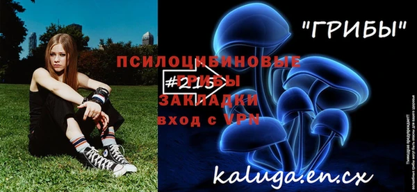 стафф Корсаков