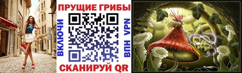 маркетплейс клад  kraken маркетплейс  Каргополь  Псилоцибиновые грибы Psilocybe 