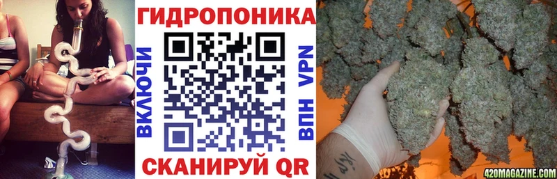 МАРИХУАНА индика Каргополь